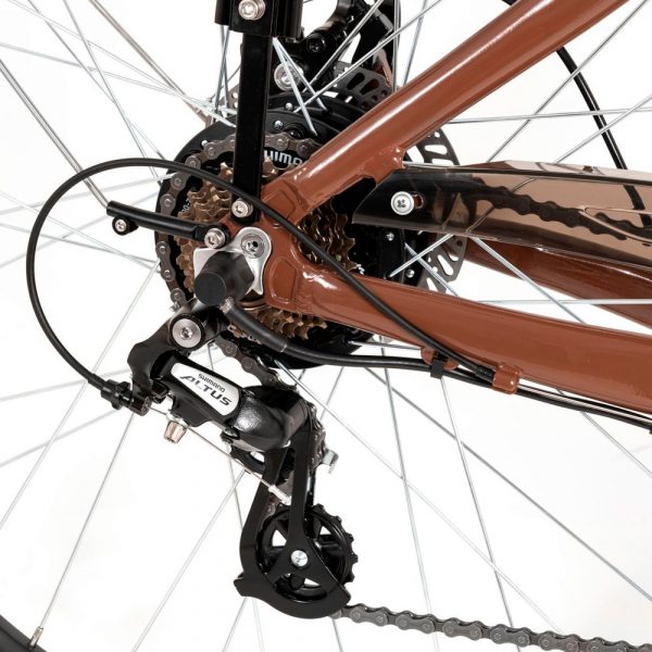BICICLETA ELECTRICA 80KM VIENA CREMA YOUIN BK2128C - Imagen 5