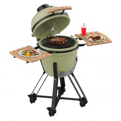 BARBACOA CARBON DRAGONFIRE 46CM CERAMICA 4600 KAMADO CECOTEC A01_EU01_100035