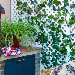PANEL CELOSIA PRIVAT 25X25 1X2 BLANCO 179106 NORTENE 325630
