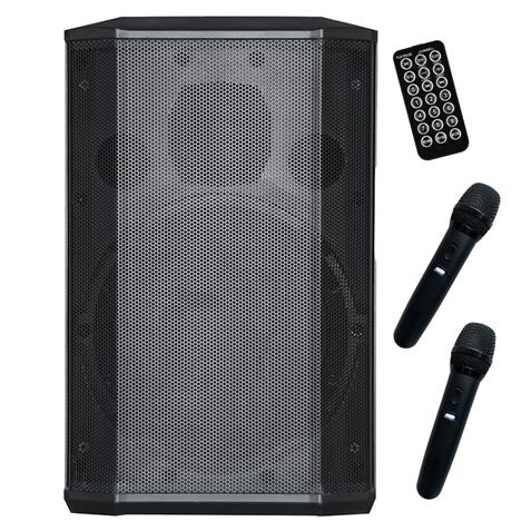 ALTAVOZ AUTOAMPLIFICADO PRO600 8" 500W CON BATERIA + 2 MICROS SERIE PRO COOLSOUND CS0269 ALTAVOCES GRAN POTENCIA