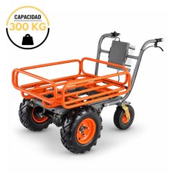 CARRETILLA ELECTRICA BATERIA 300KGS 40V/7.5AH TAKUMA TK351